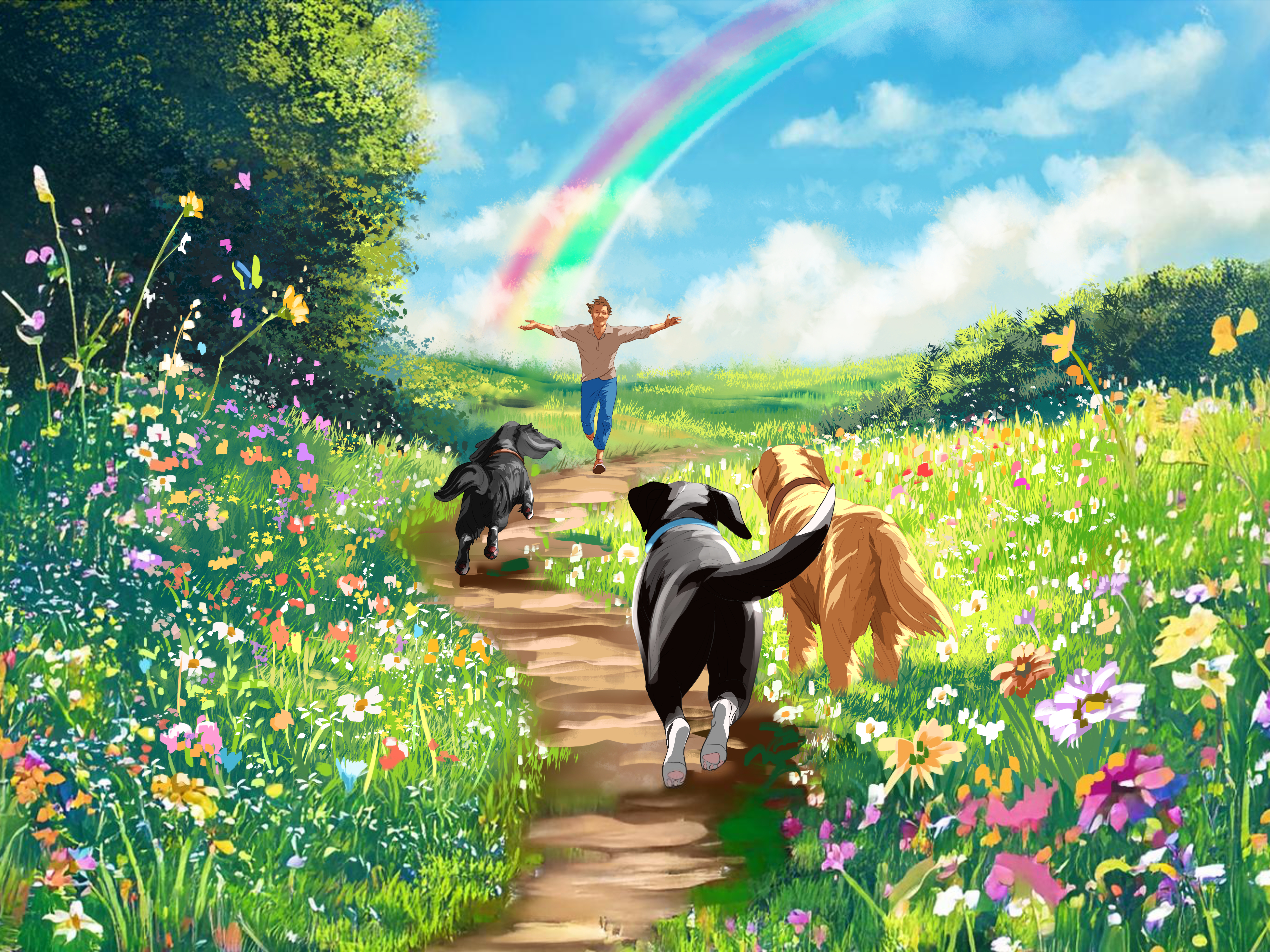 Image 22